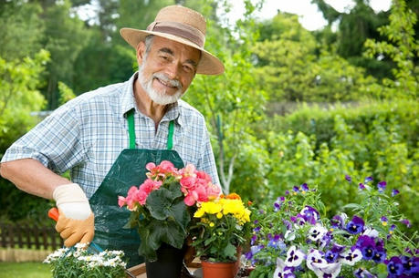Responsibilities and Earnings of Entry Level Gardeners